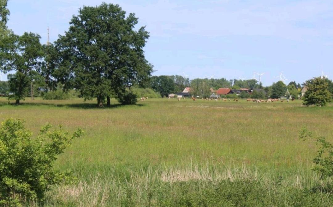 Spreewald Ferienwohnung Noack Lübben Exteriér fotografie