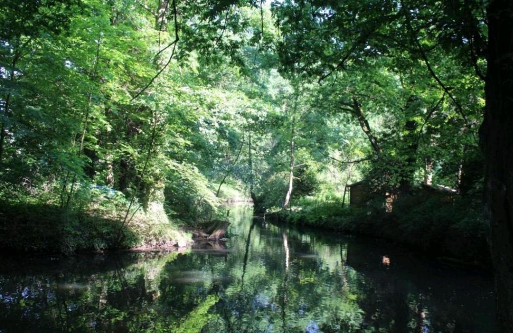 Spreewald Ferienwohnung Noack Lübben Exteriér fotografie